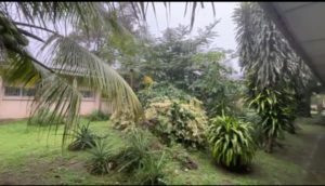 Ein tropischer Regenschauer in Calabar