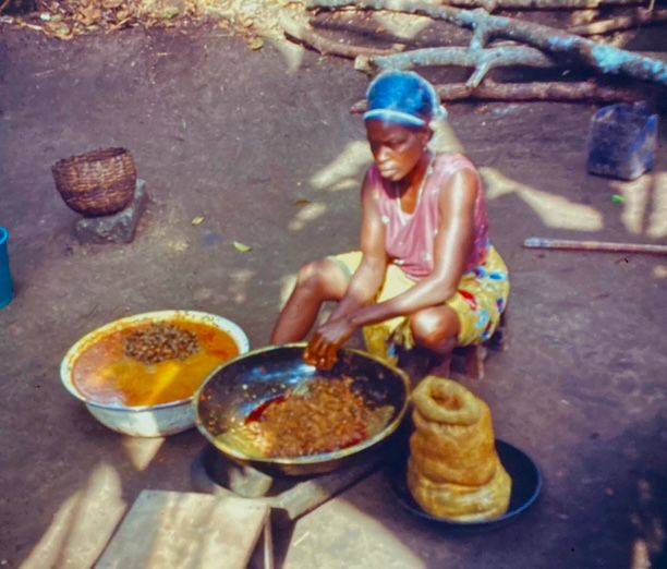 Afrikanische Frau sitzt draußen auf dem Boden, entfernt Kerne aus Palmfrüchten und legt das Fruchtfleisch in eine der beiden vor ihr stehenden Schüsseln.
